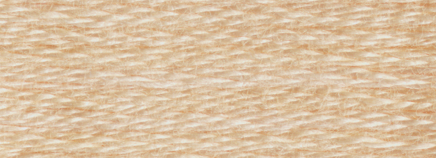 Six-Strand Embroidery Floss (3722-3866)