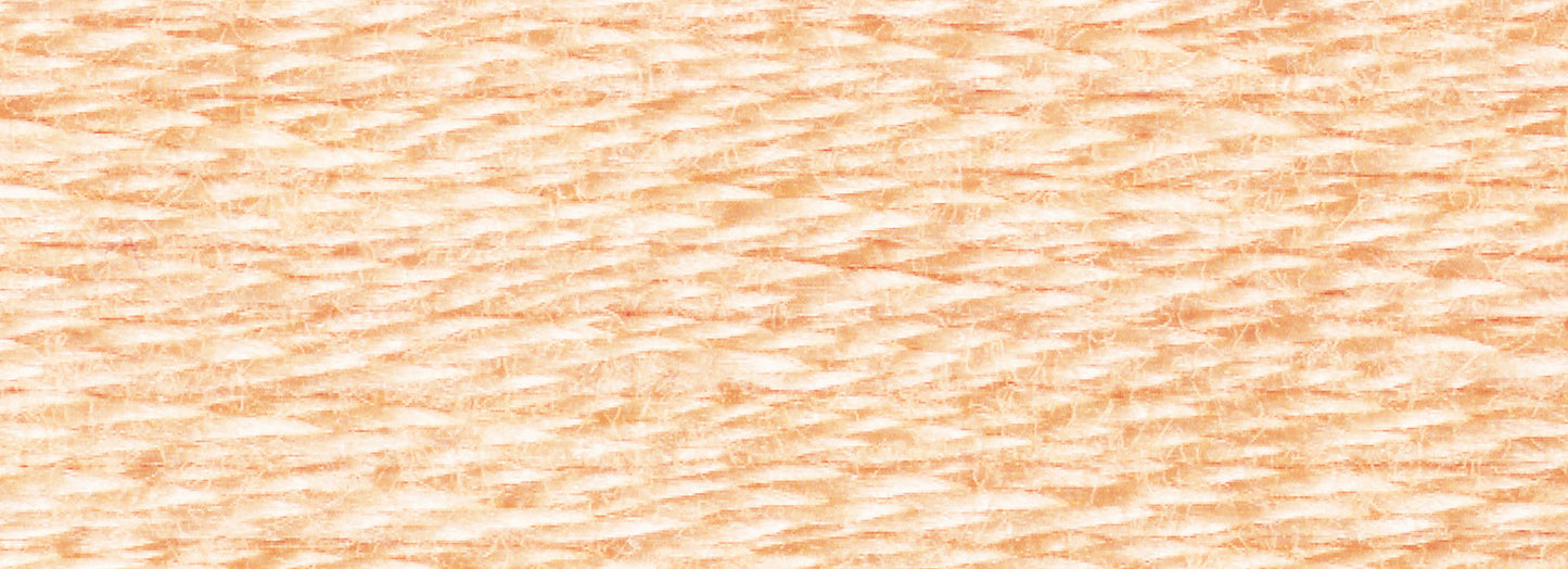 Six-Strand Embroidery Floss (920-3721)