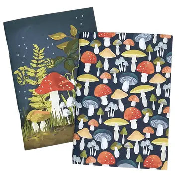 2 Pack Journals