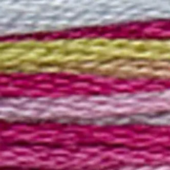 Coloris Embroidery Floss